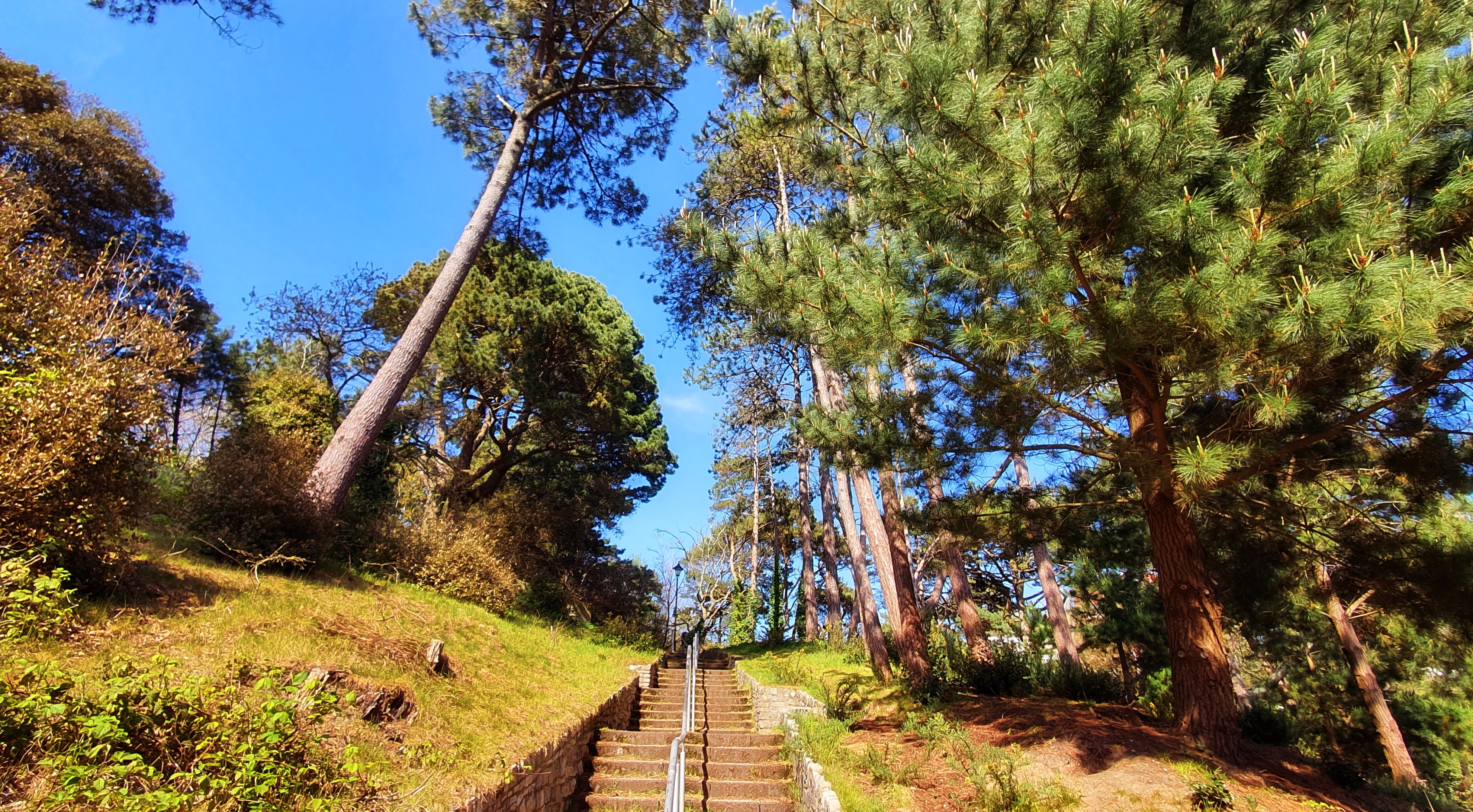 Boscombe Chine Gardens 12