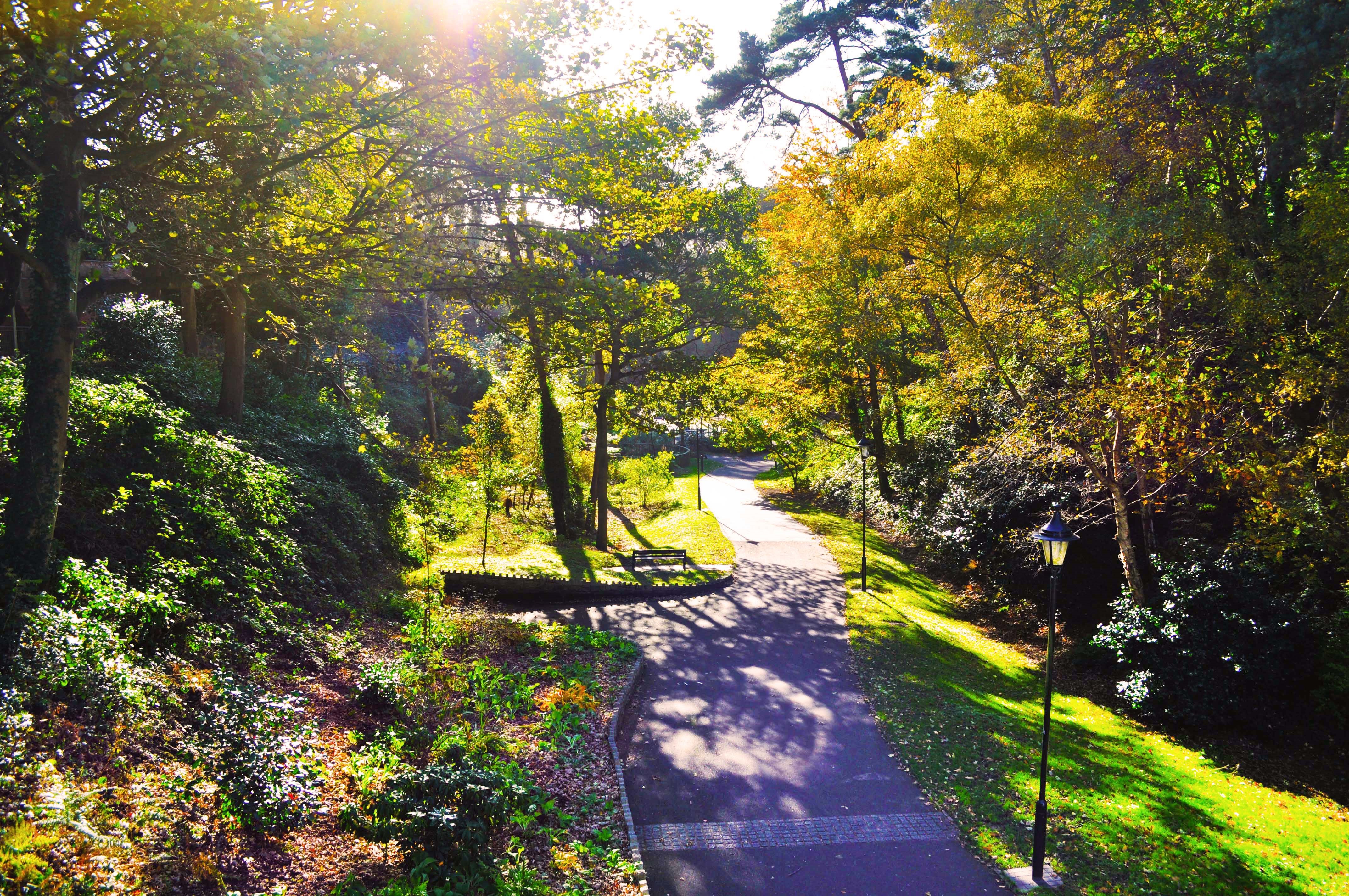 Boscombe Chine Gardens 22