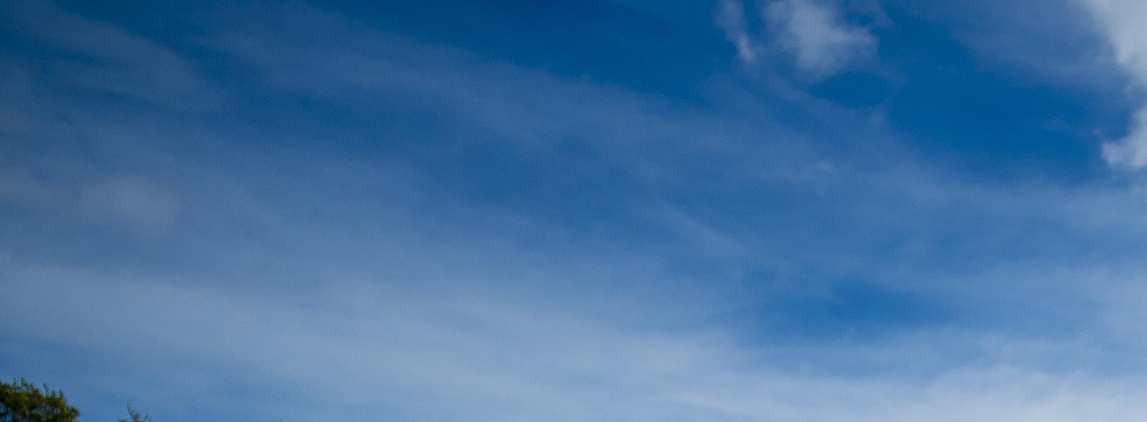 Boscombe Chine Gardens