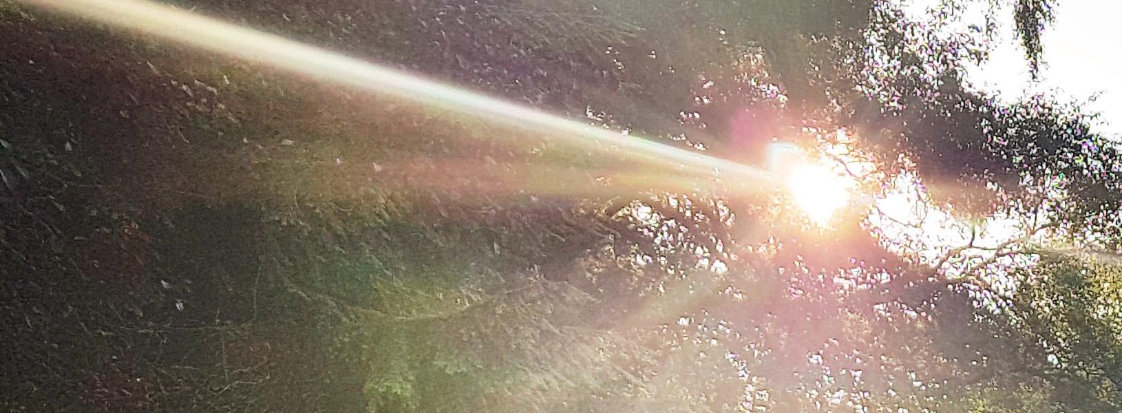 Central Gardens Bournemouth 1