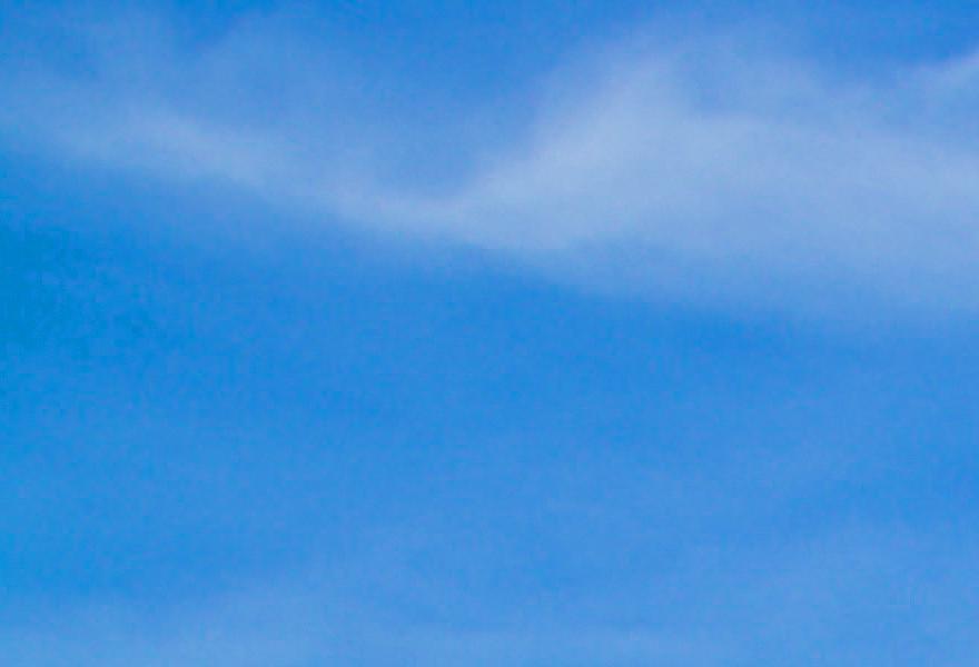 Central Gardens Bournemouth Pergola