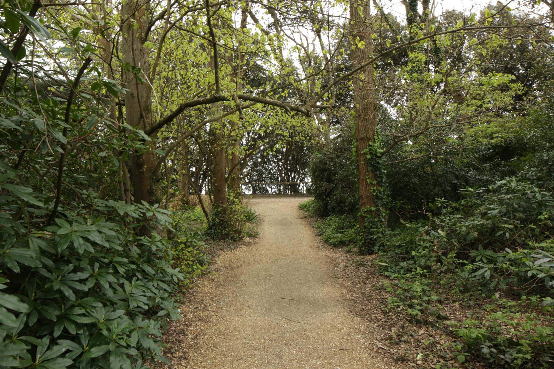 Highcliffe Beach (7)