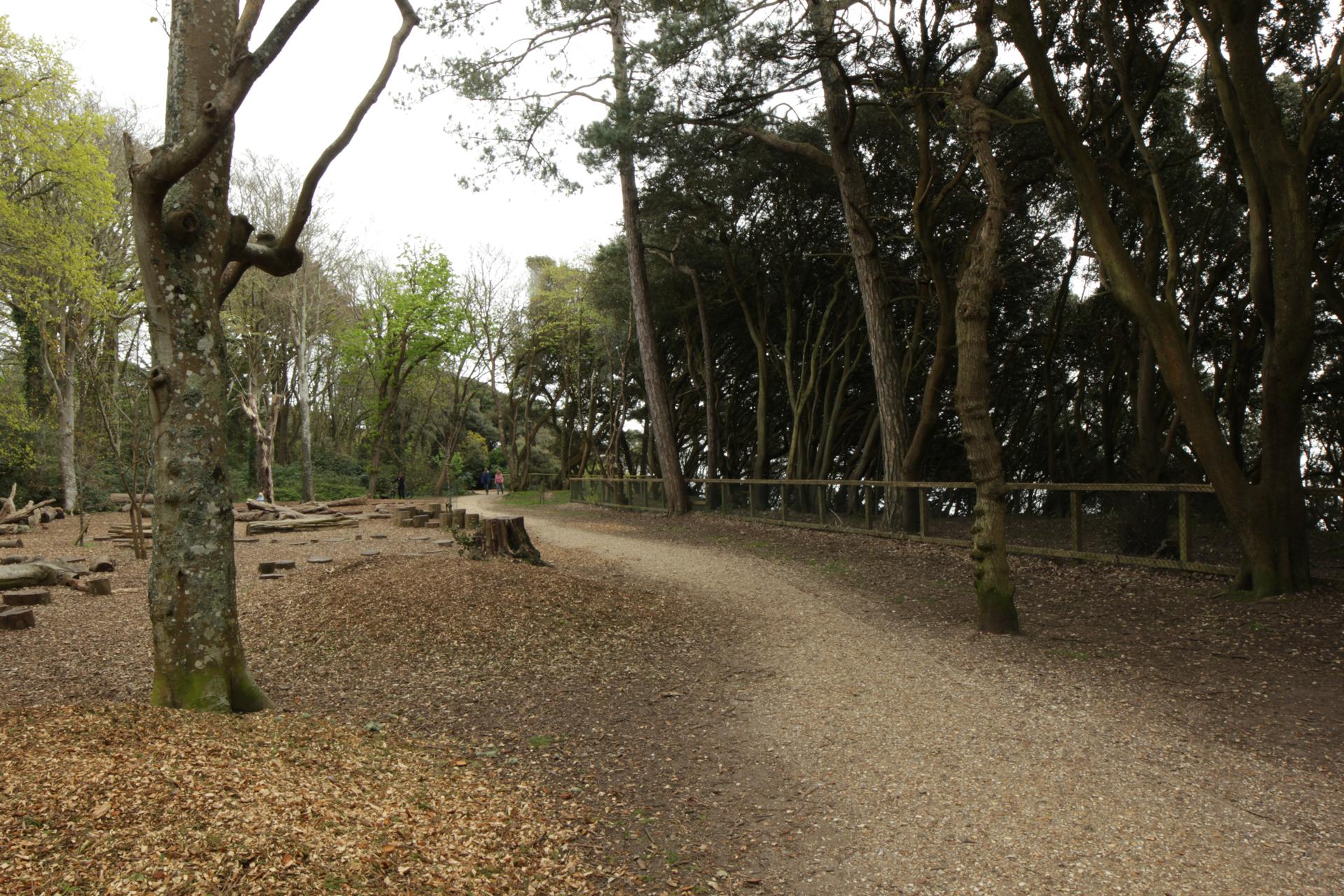 Highcliffe Beach (8)
