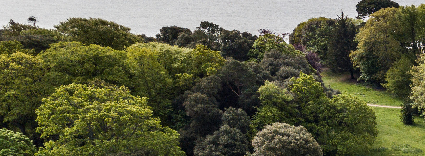 Highcliffe Castle Aerial View by Ocean Photography