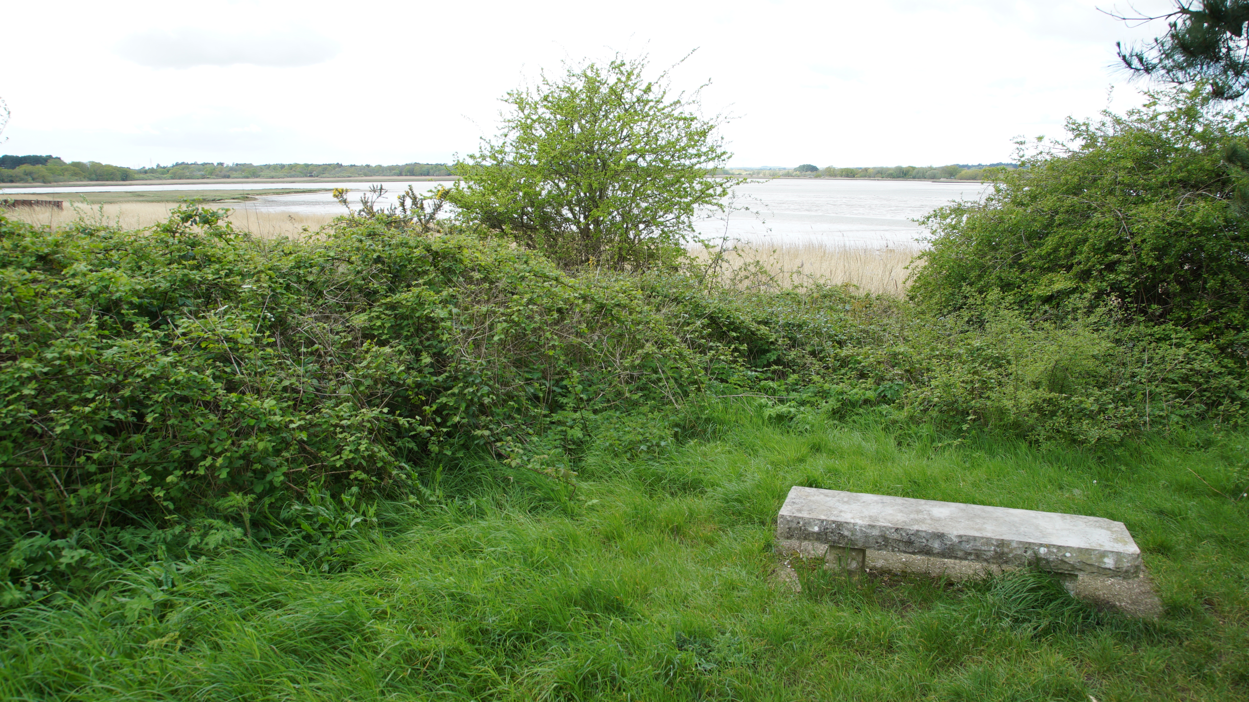 Turlin Moor (1)