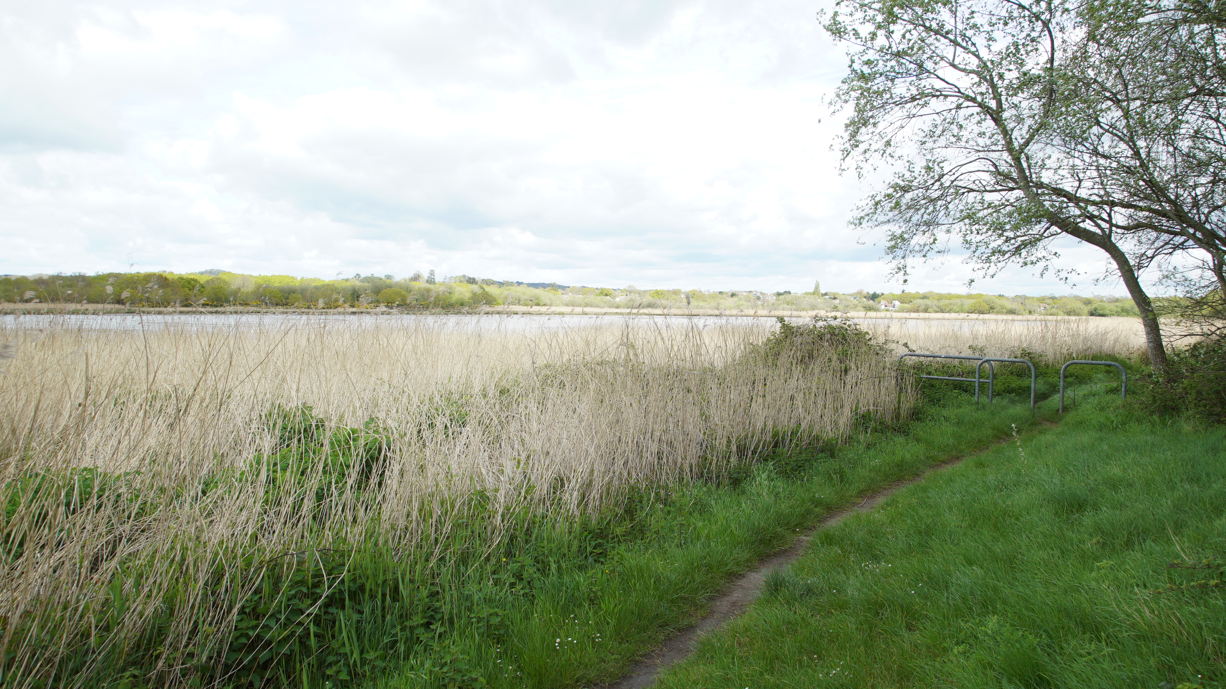 Turlin Moor (3)