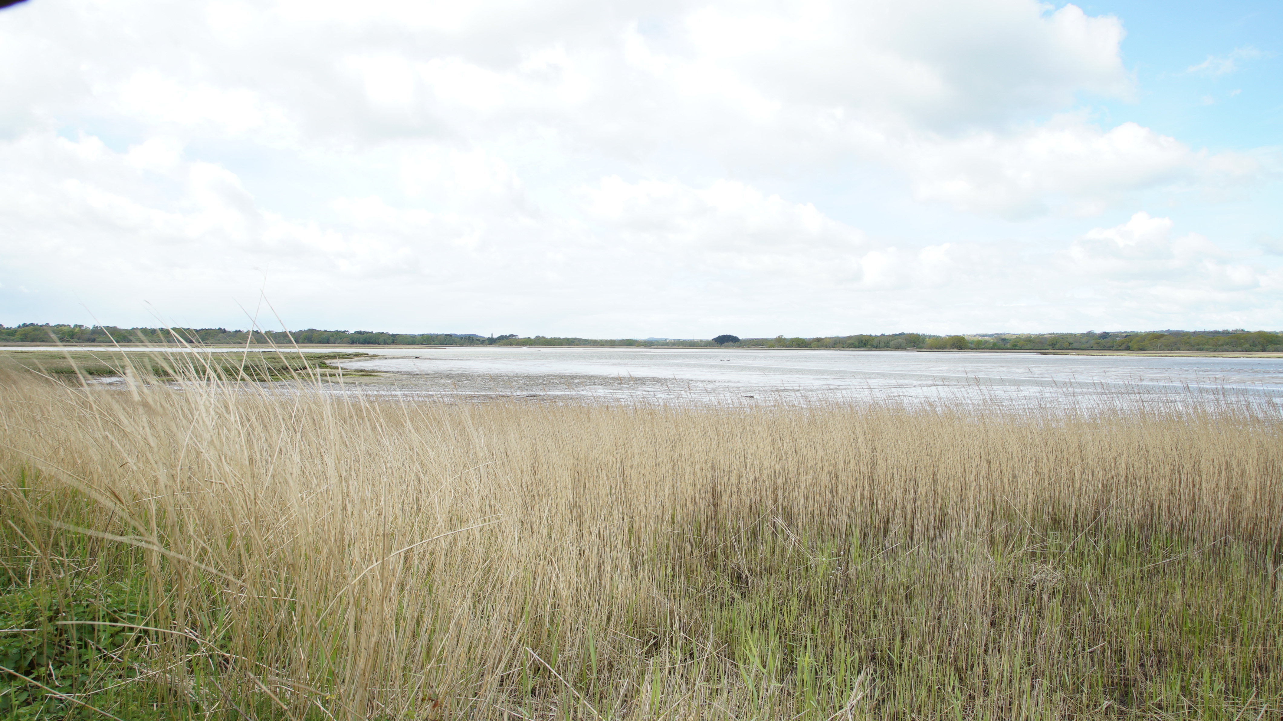 Turlin Moor (7)