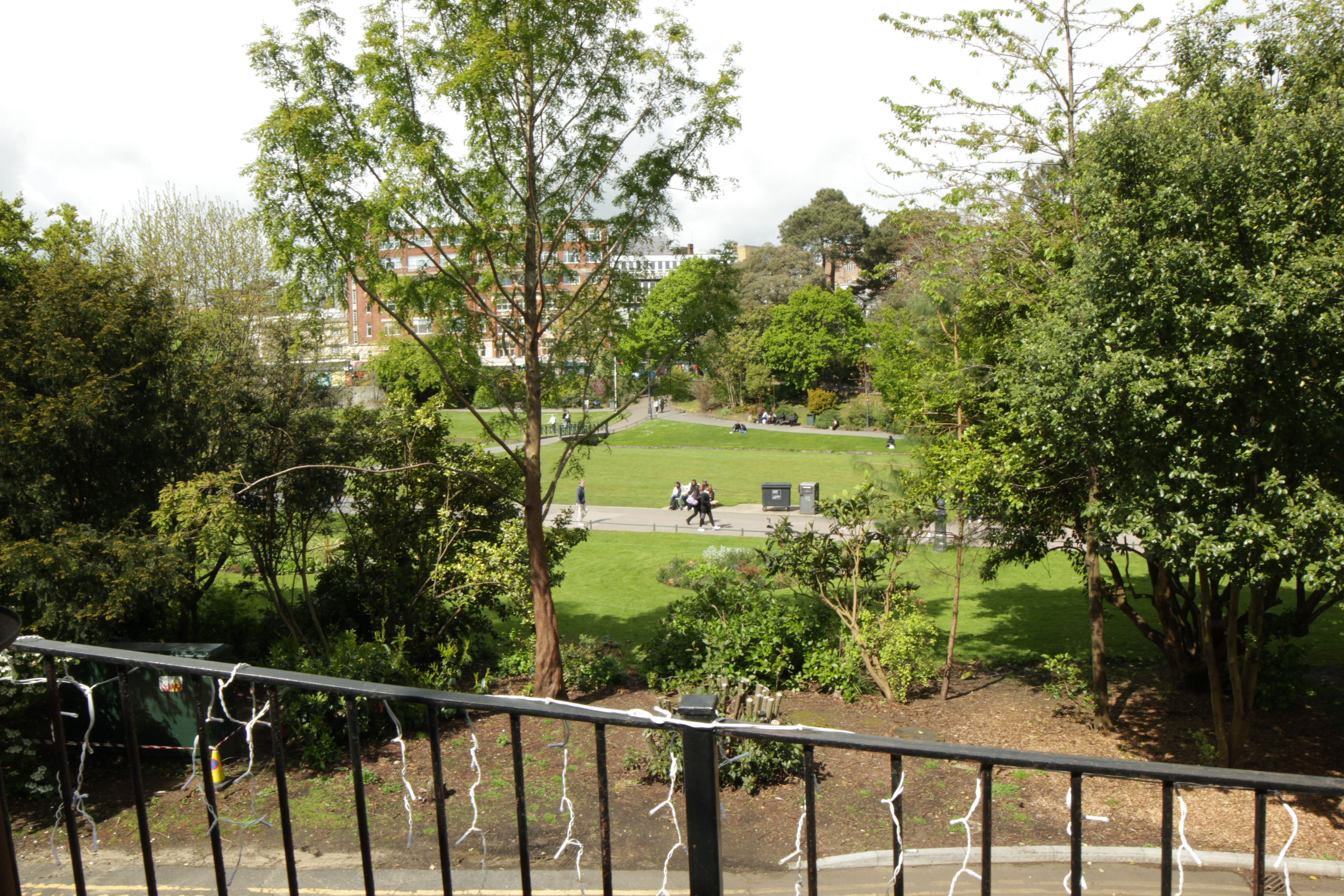 Urban Gardens (4)