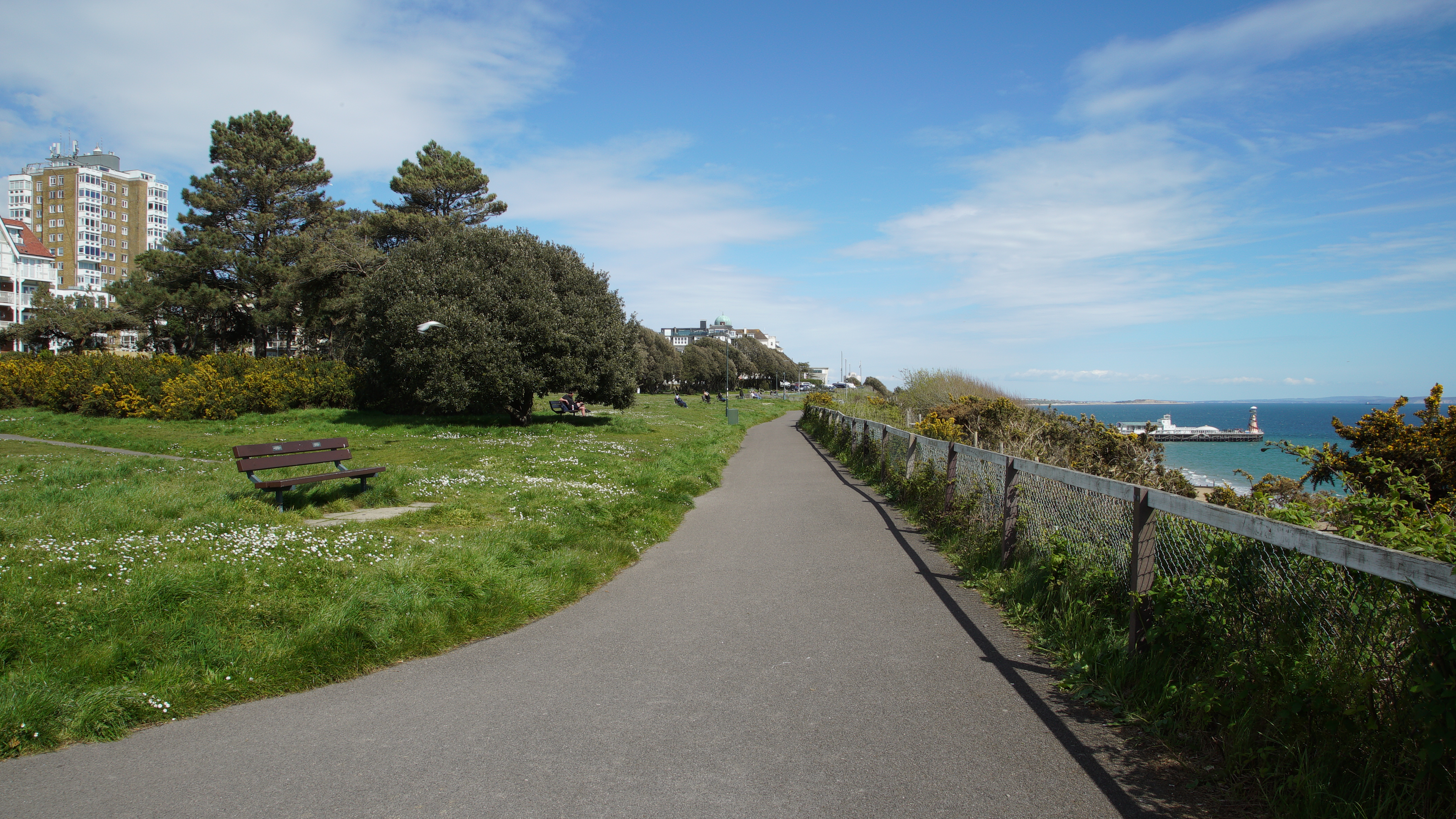West Cliff Gardens (13)
