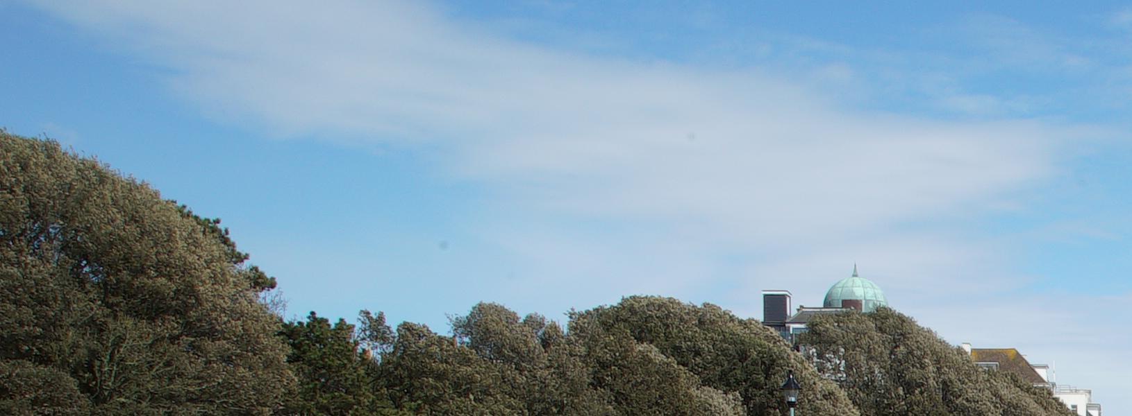 West Cliff Gardens (8)