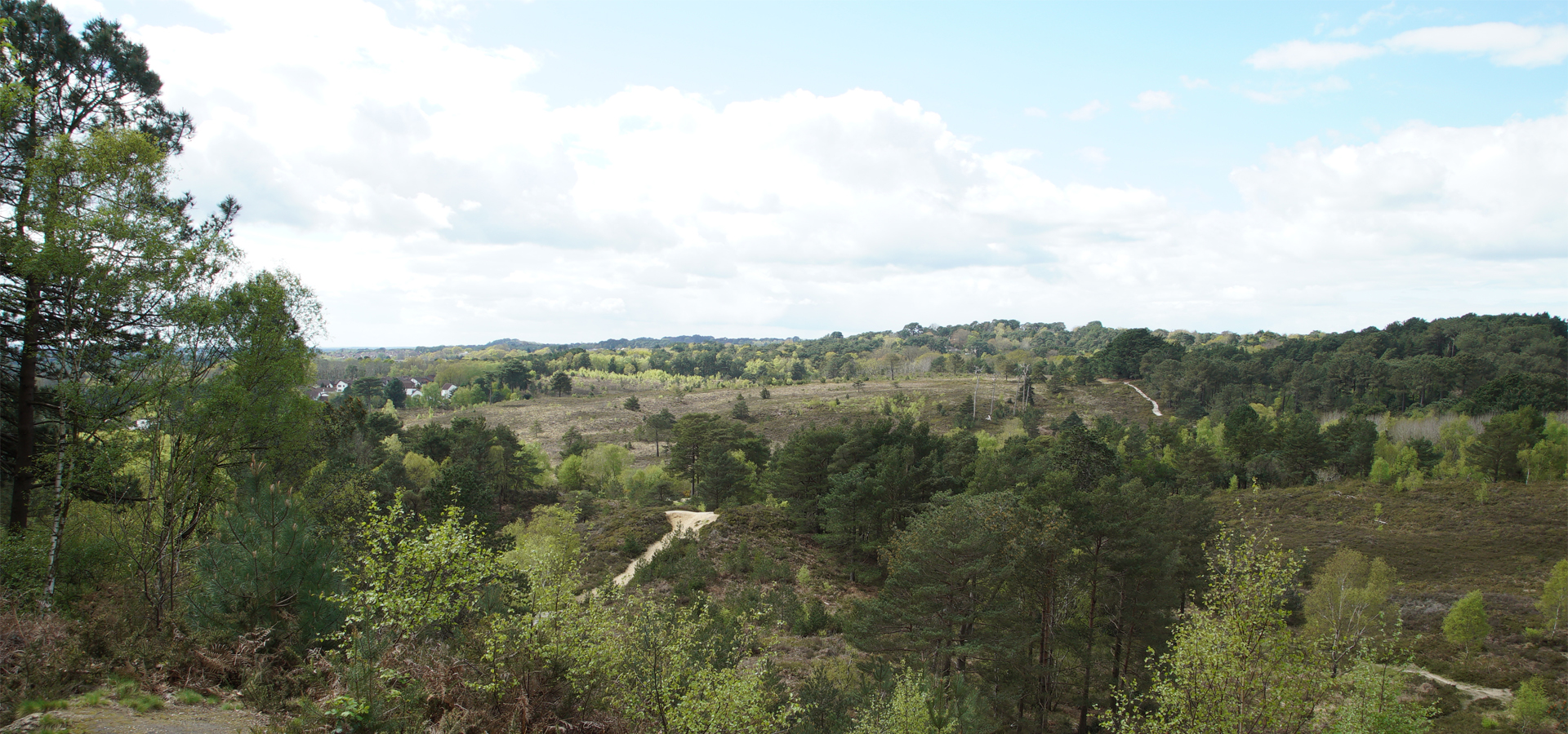 Woodland - banner